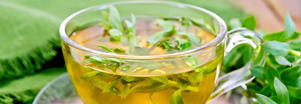 Nootropiques naturels : notre sélection