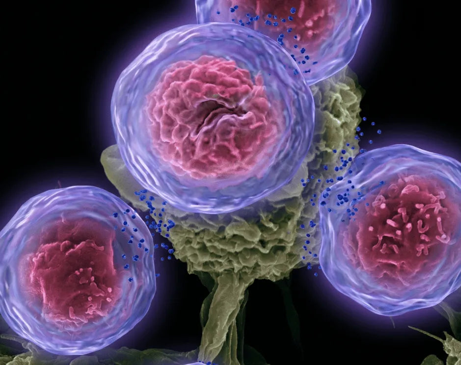 Phycocyanine et cancer