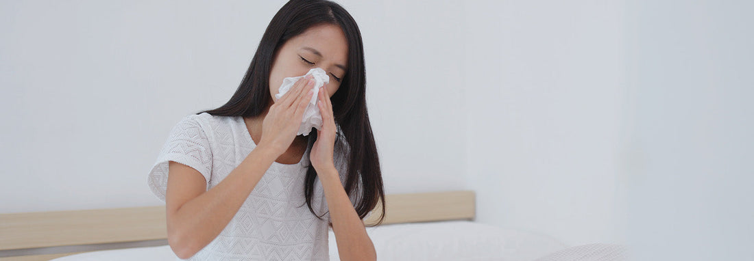 Zinc liquide et Phycocyanine : pour une Immunité sans Faille !