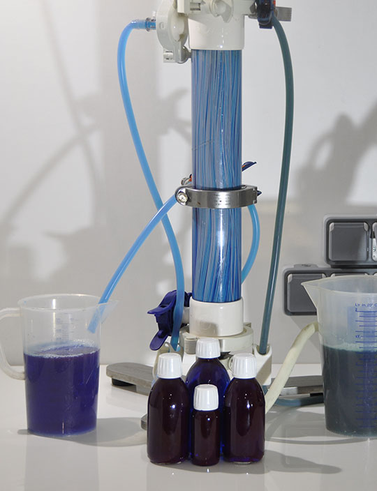spiruline phycocyanine extraction