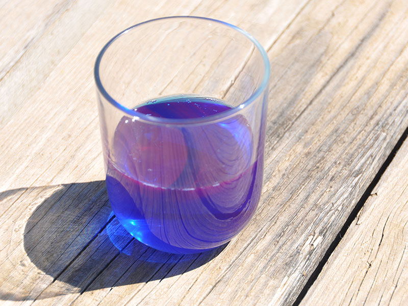 spiruline liquide