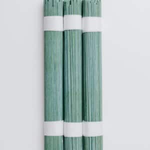 pâtes à la spiruline