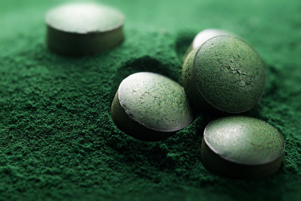 Cachets de spiruline, poudre compressée et séchée par atomisation