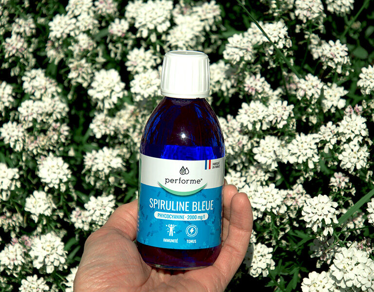 spiruline bleue en pleine nature