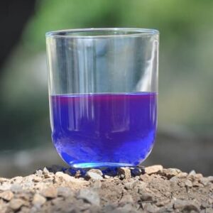 Phycocyanine, complément alimentaire naturel et efficace