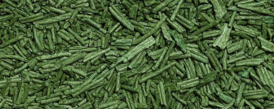 Spiruline paillettes, complément alimentaire naturel et efficace