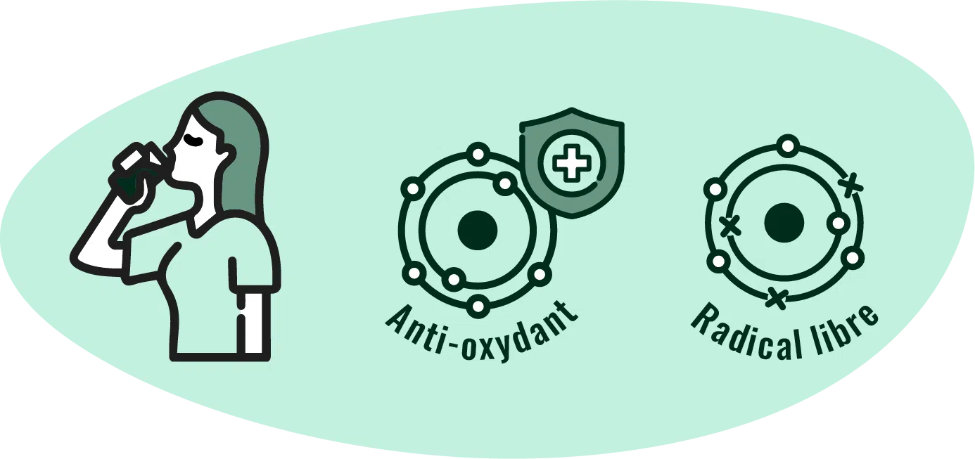Illustration anti oxydant radicaux libres bienfaits phycocyanine