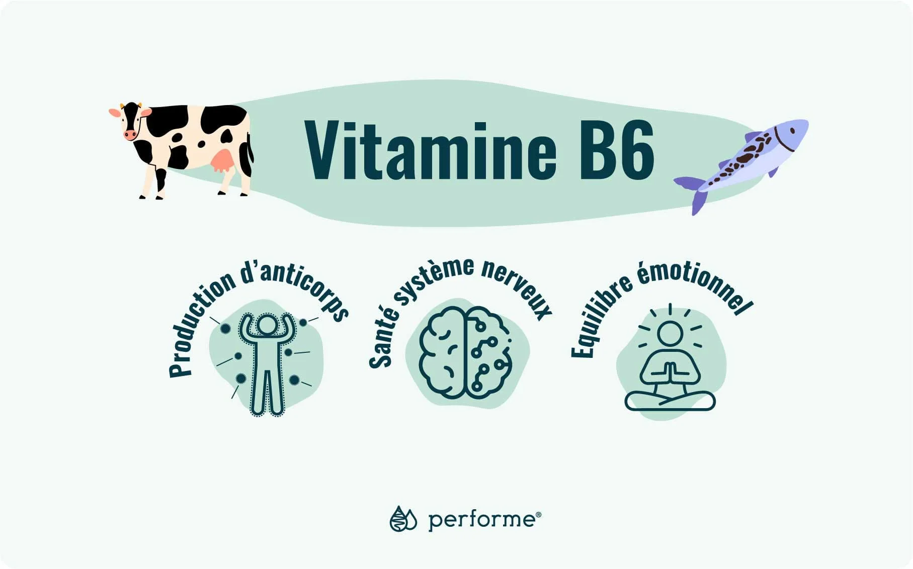 Fonctions et sources de la vitamine B6