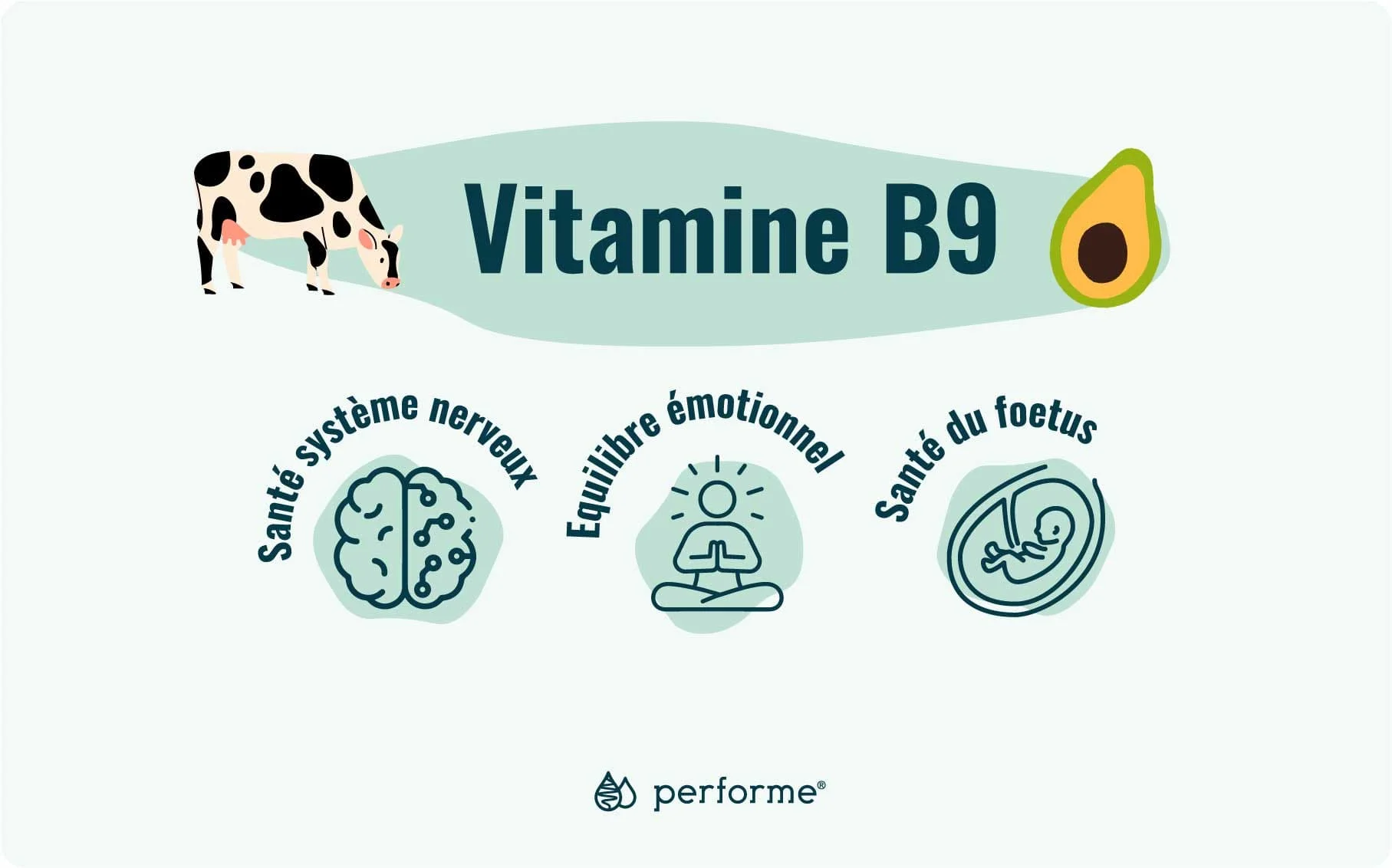 Fonctions et sources de la vitamine B9
