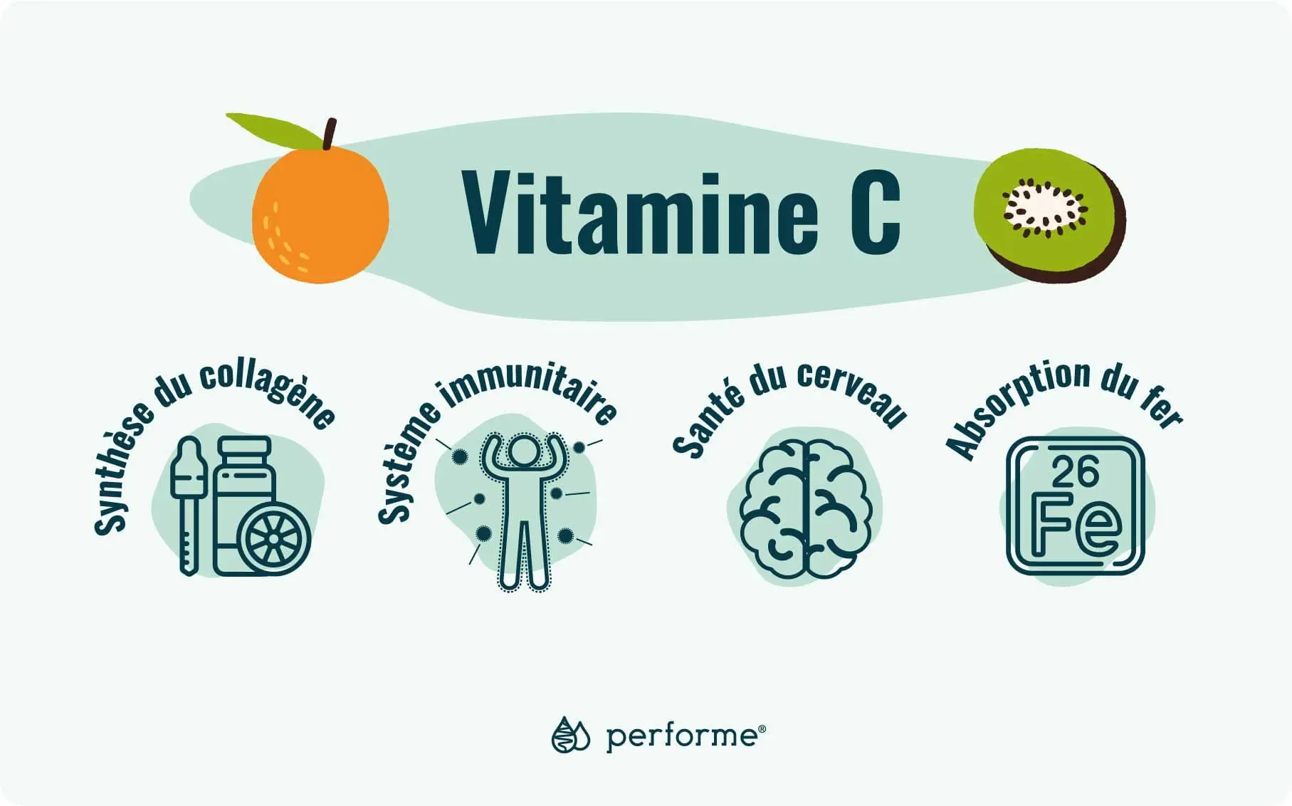Fonctions et sources de la vitamine C