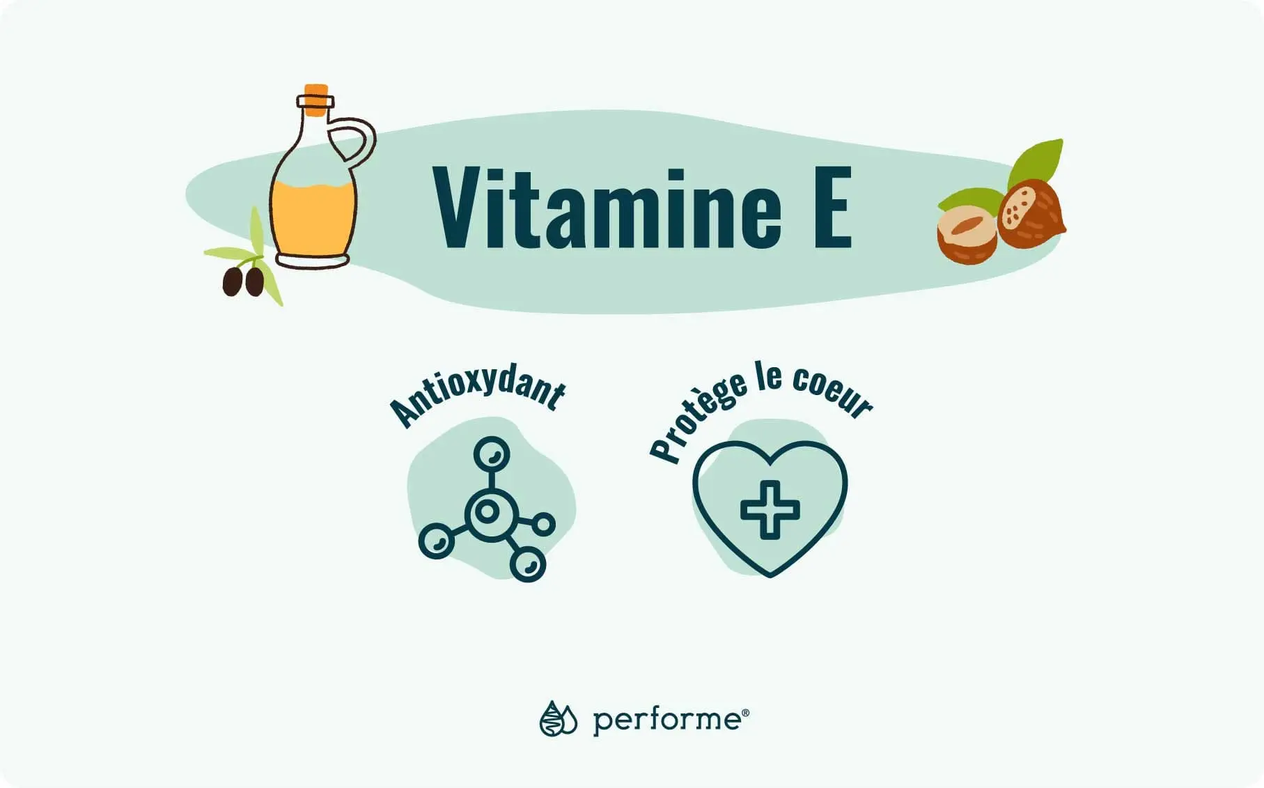 Fonctions et sources de la vitamine E